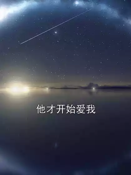 他才开始爱我小说